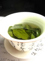 green tea information