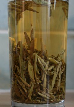 white tea varieties